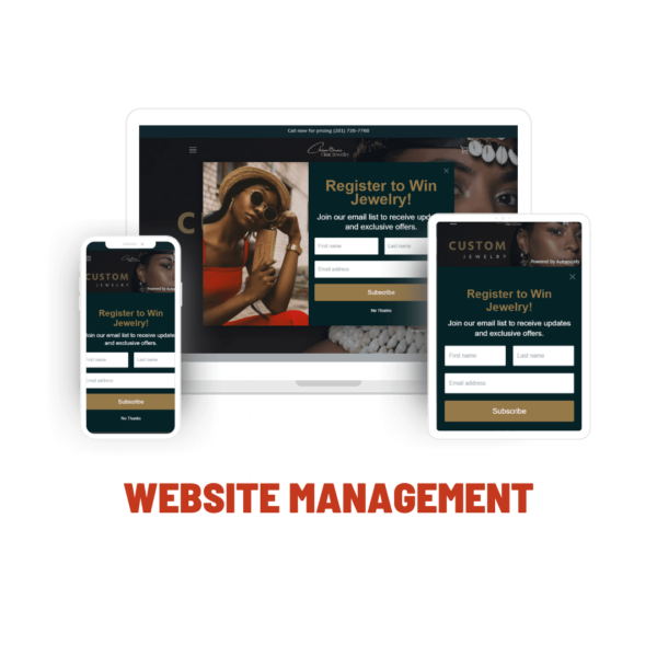 Website Management